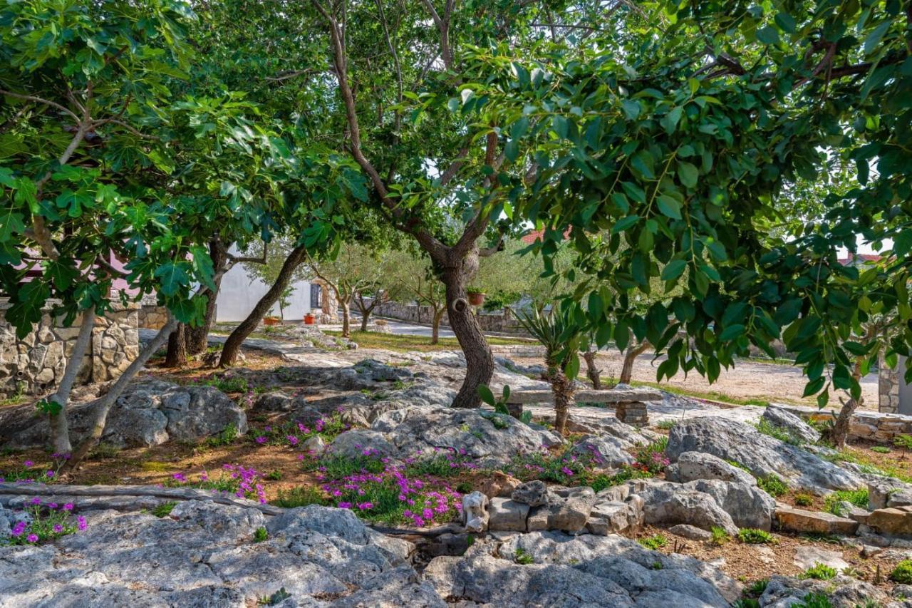 Villa Eagle 벤코바츠 외부 사진