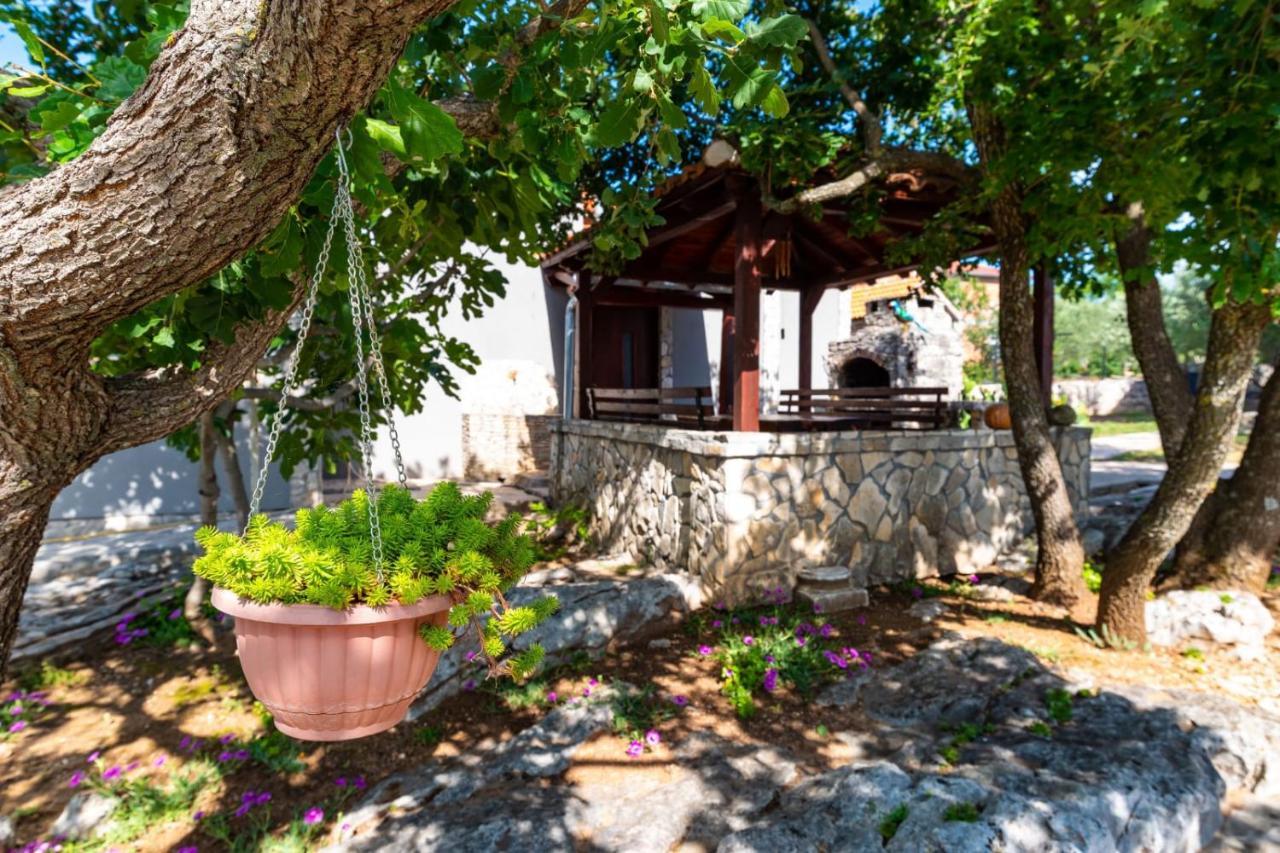 Villa Eagle 벤코바츠 외부 사진